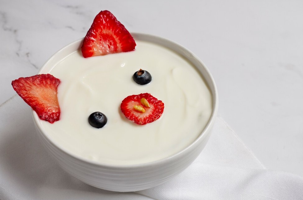 Yogurt-Healthy